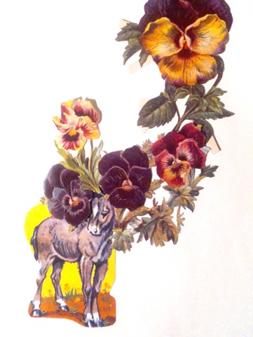 [donkey_flowers%255B3%255D.jpg]