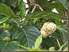 DSCF5845 DSCF5845