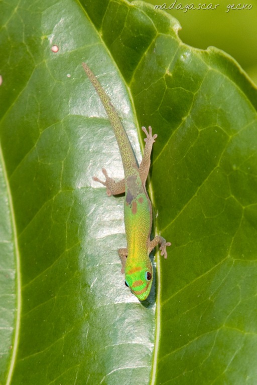 [20121212-IMG_1871-313.jpg]