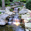 P1010017.jpg P1010017.jpg