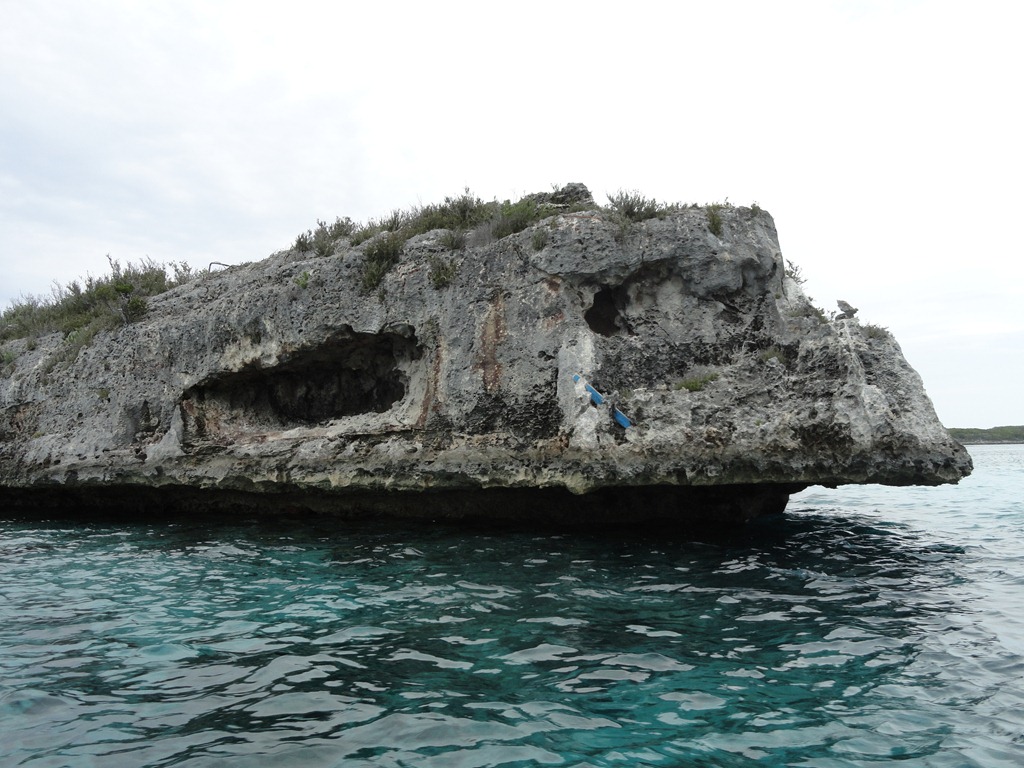 [DSC015753.jpg]