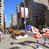 Cavalos -  Chicago, Illinois, EUA