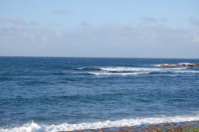 DSC_0810.JPG