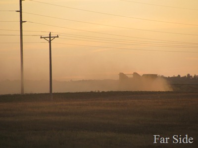 Dust Bowl Beans Two