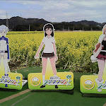 IMG_20120211_130510.jpg