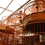 Shanghai - Pets market - et encore des cages