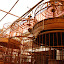 Shanghai - Pets market - et encore des cages