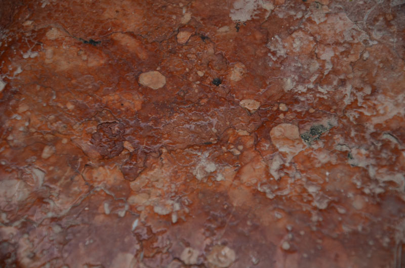 DSC_8865_01.jpg DSC 8865 01