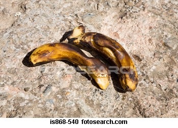 [two-rotting-bananas_IS868-5403.jpg]