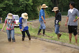 dsc05057.jpg