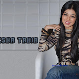 wp_Janubaba_AyeshaTakiabycoolman_2008514623271P6BQI.jpg