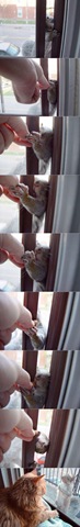 [funny-animals-haha-37%255B6%255D.jpg]