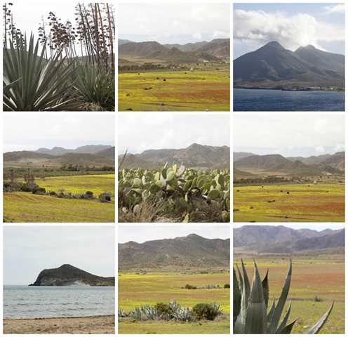 [cabo%2520de%2520gata%255B5%255D.jpg]