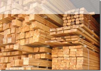 Estructuras de madera o maderas estructurales make a choice.