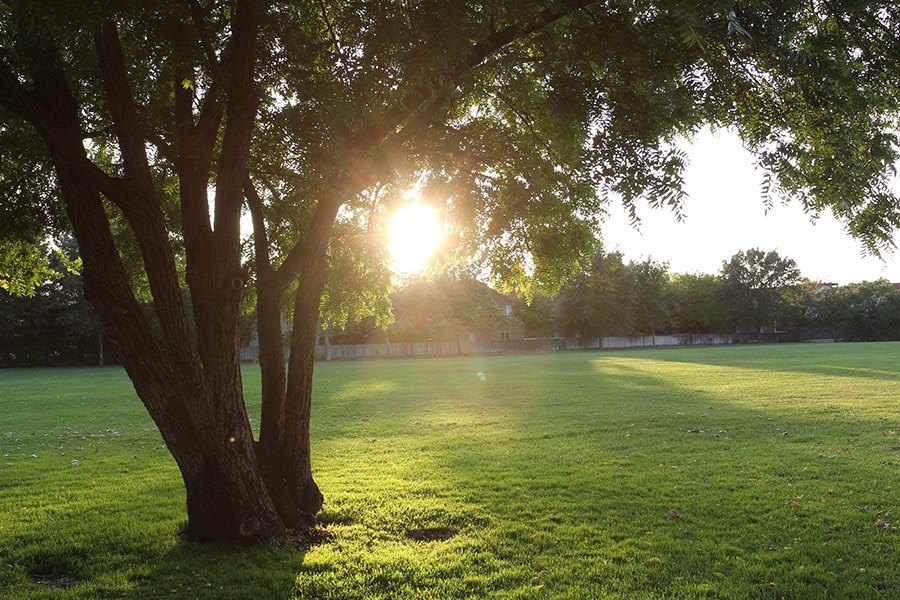 [110612_summer_evening%255B4%255D.jpg]