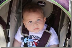 IMG_6547 IMG_6547