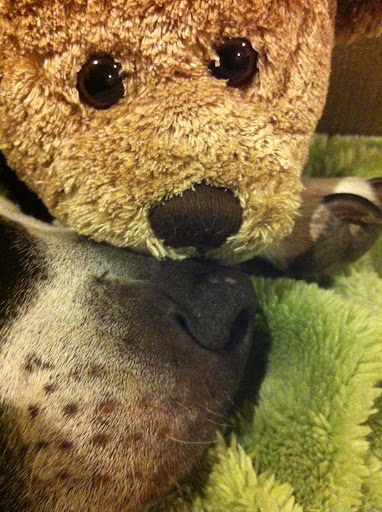 I'm thankful for wet noses!