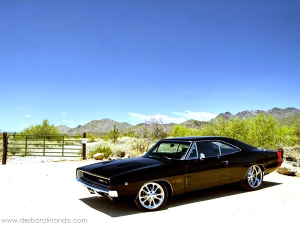 muscle-cars-classics-wallpapers-papeis-de-parede-desbaratinando-(17) muscle-cars-classics-wallpapers-papeis-de-parede-desbaratinando-(17)