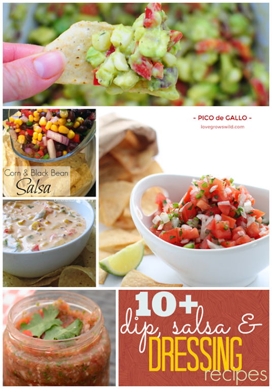 Over 10 Dip, Salsa & Dressing Recipes at GingerSnapCrafts.com #recipes #dips #salsa #linkparty #features_thumb[2]