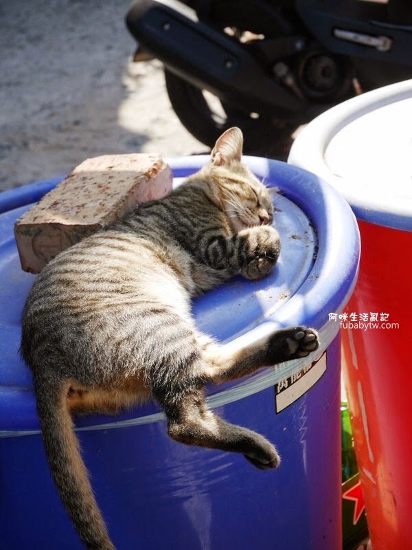 調整大小P1010044 調整大小P1010044
