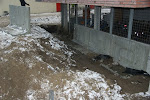 174.JPG