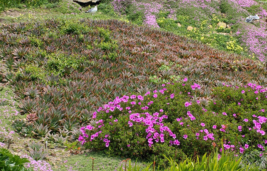 [120408_Alcatraz_3122.jpg]