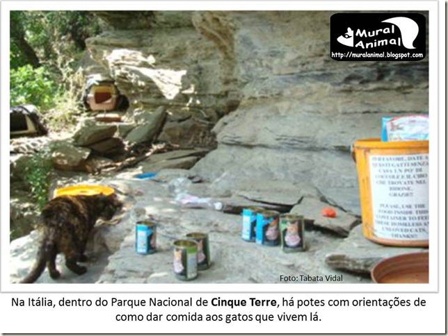papa_ama_gatos (20) papa_ama_gatos (20)