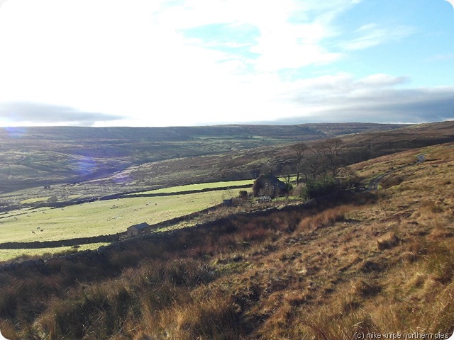 moors at lintzgarth