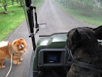 Onward, G.K.!!!!