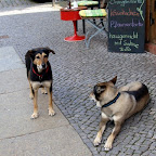 20100815_097_small.JPG