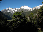 IMG_0535.JPG