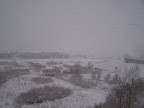 denver