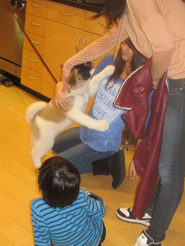 [0233.jpg]