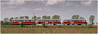 Moorexpress unweit der Worpsweder Mühle