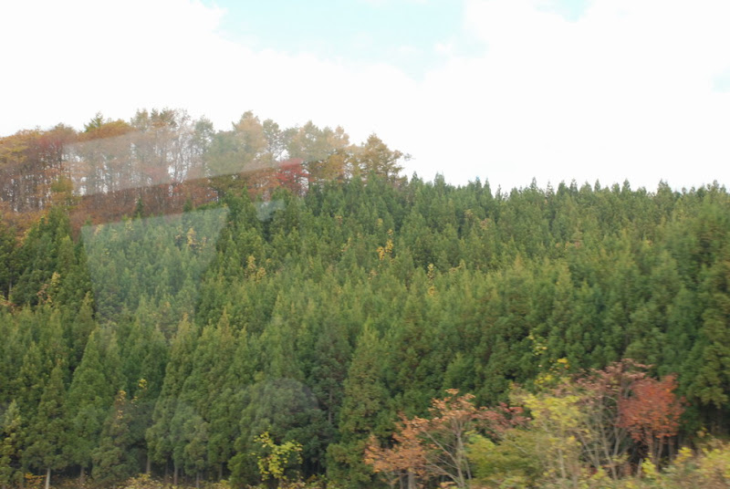 hokkaido_171.jpg
