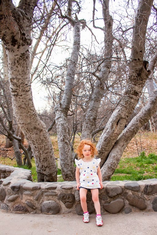 [IMG_4743%255B3%255D.jpg]