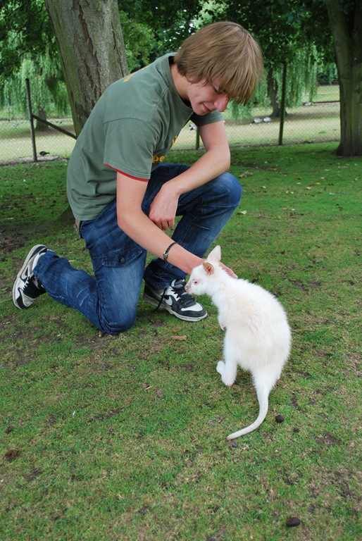 [DSC_0923%255B5%255D.jpg]