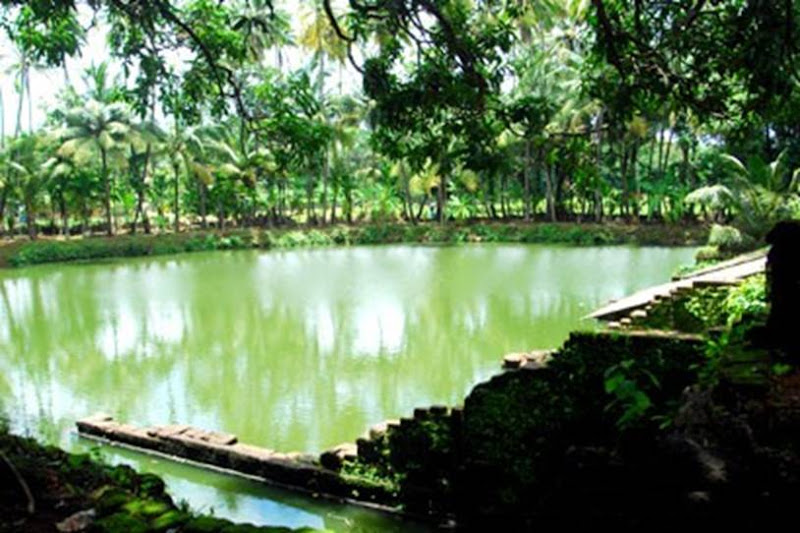 Traditional Kerala Houses: VARIKKASSERI MANA, SOORYAKALADI MANA, NARIKKOTTILAM, CHITTOR KOVILAKAM, POOMULLY MANA