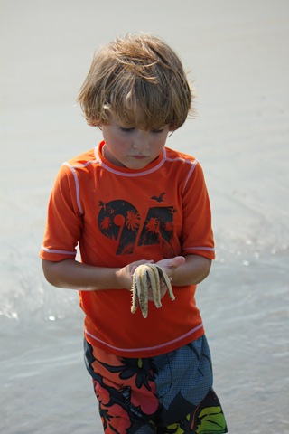 [JoeStarfish2%2520%25281%2520of%25201%2529%255B4%255D.jpg]