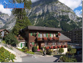 alpes suizos (16)