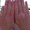 DSCN0727.JPG