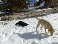HPIM2429.JPG Photo