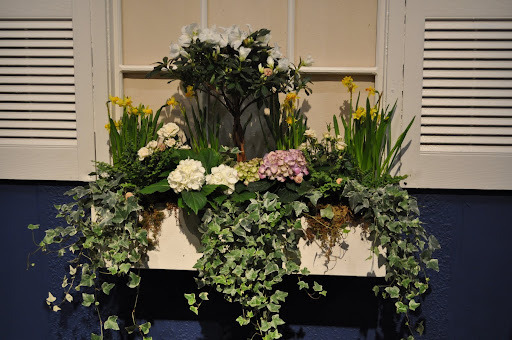 Windowbox inspiration
