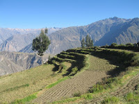 IMG_0090.jpg