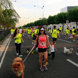 Pet Express Doggie Run 2012 Philippines. Jpg (111).JPG