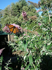 2012-01-24 17.46.24.jpg