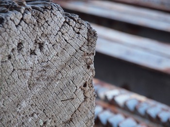 weathered wood