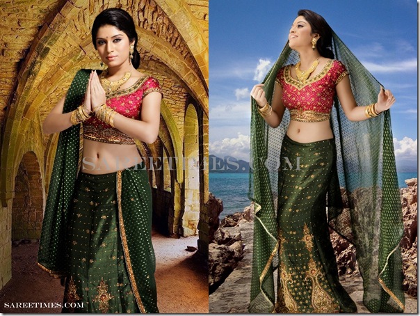 Nisha_Shetty_Designer_Saree (1) Nisha_Shetty_Designer_Saree (1)