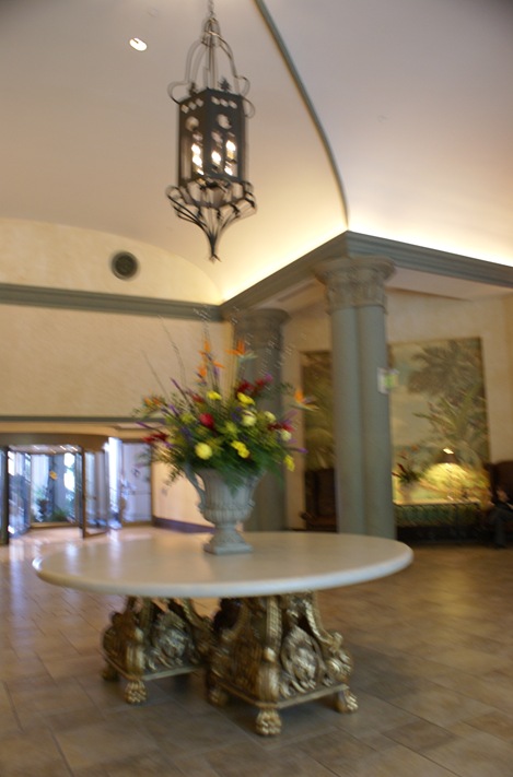 DSC05234 DSC05234