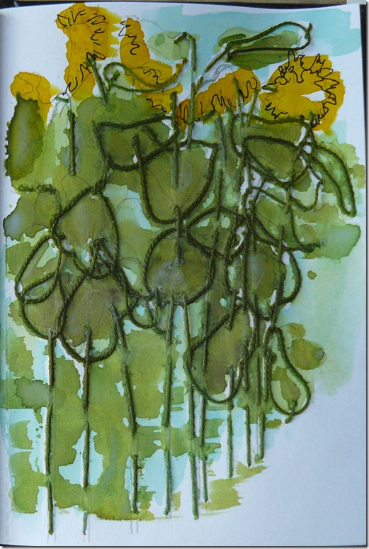 sunflower7